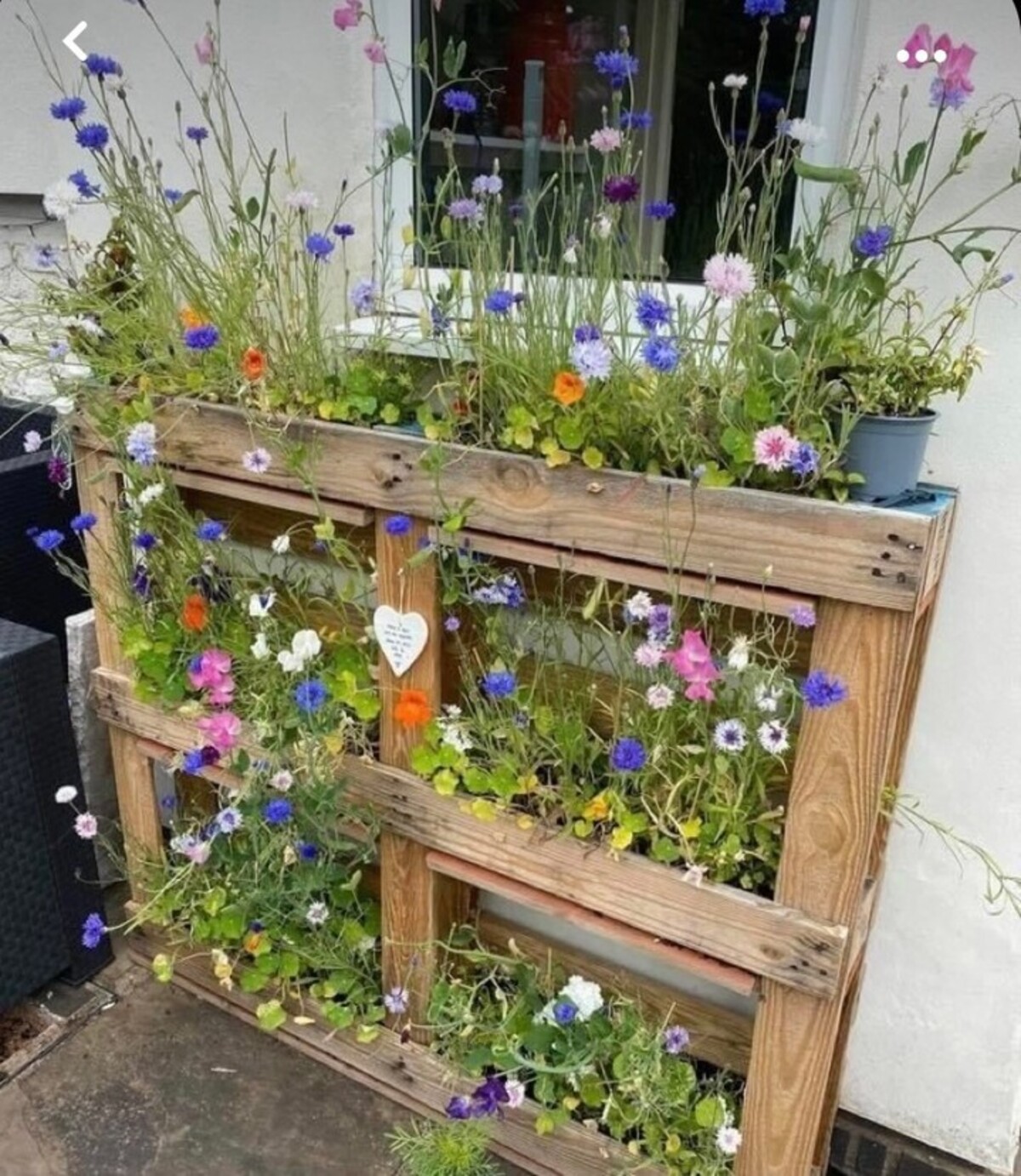vertical urban flower gardens 12