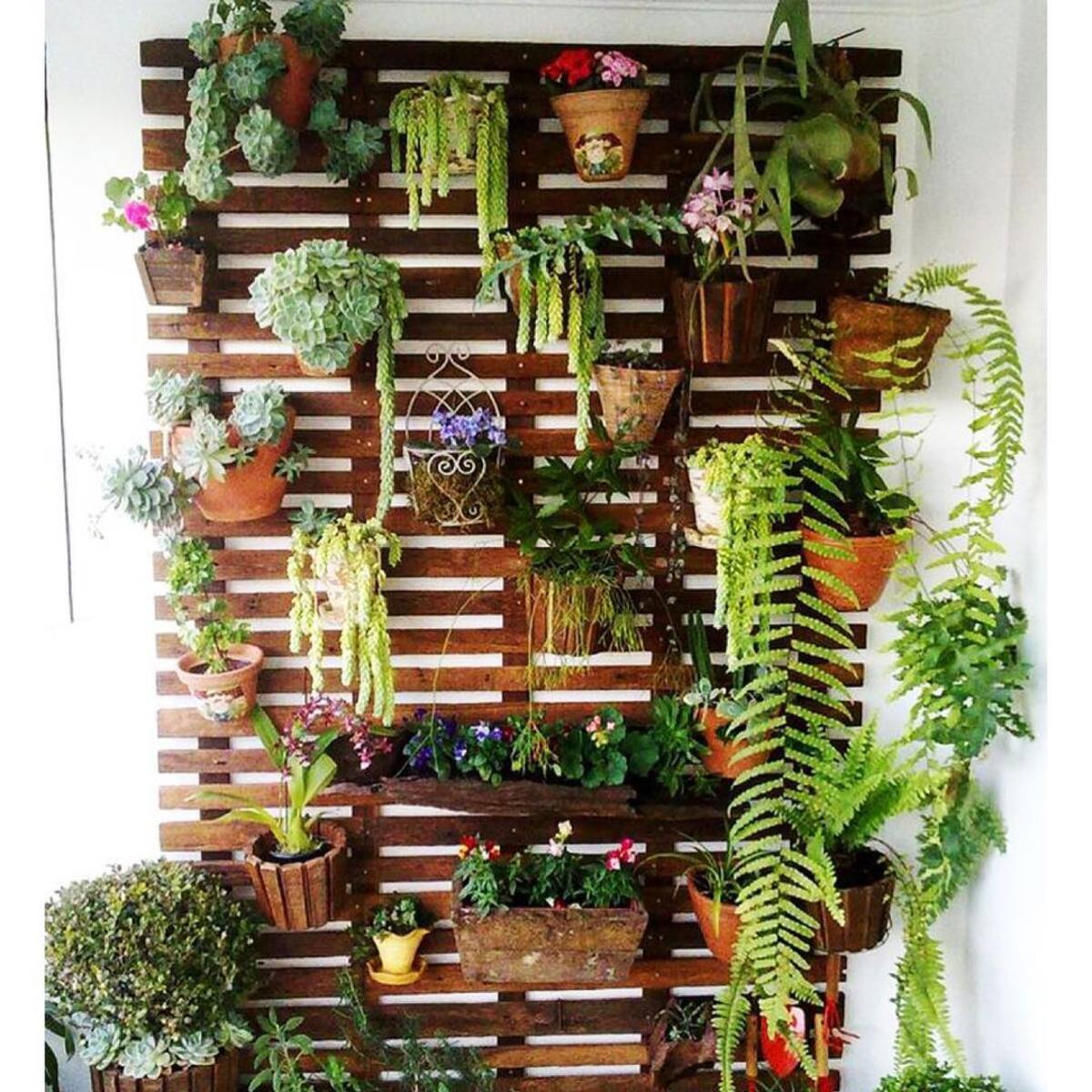 vertical urban flower gardens 13