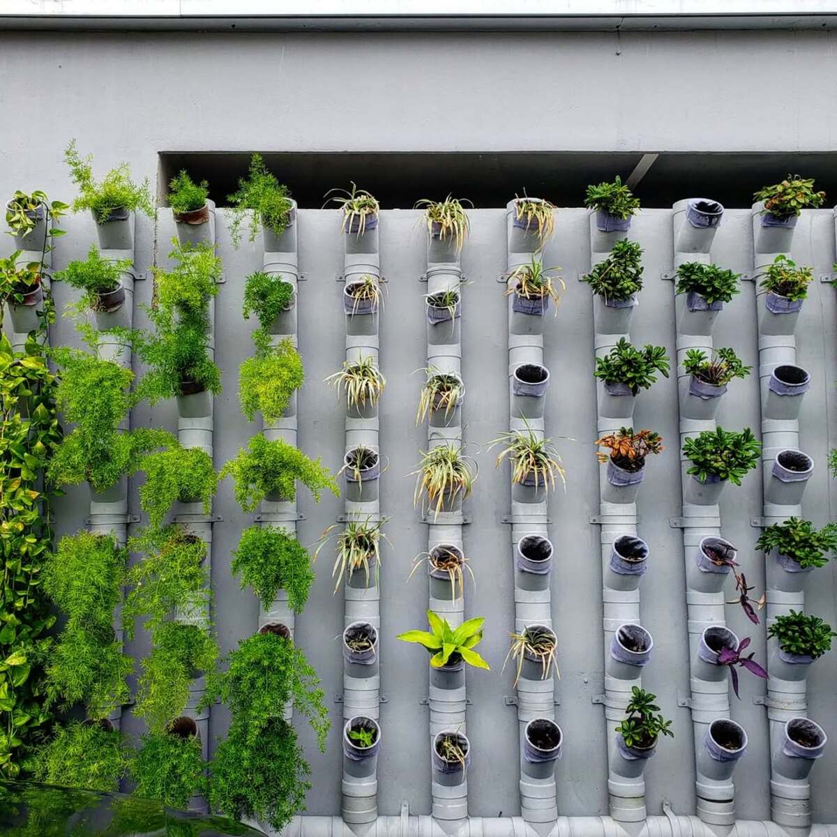 vertical urban flower gardens 16