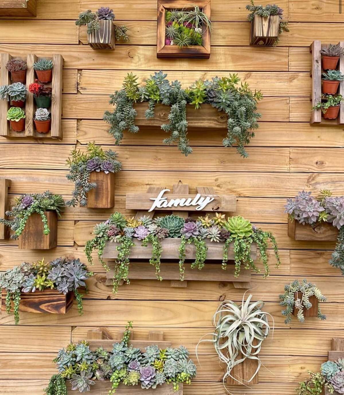 vertical urban flower gardens 18