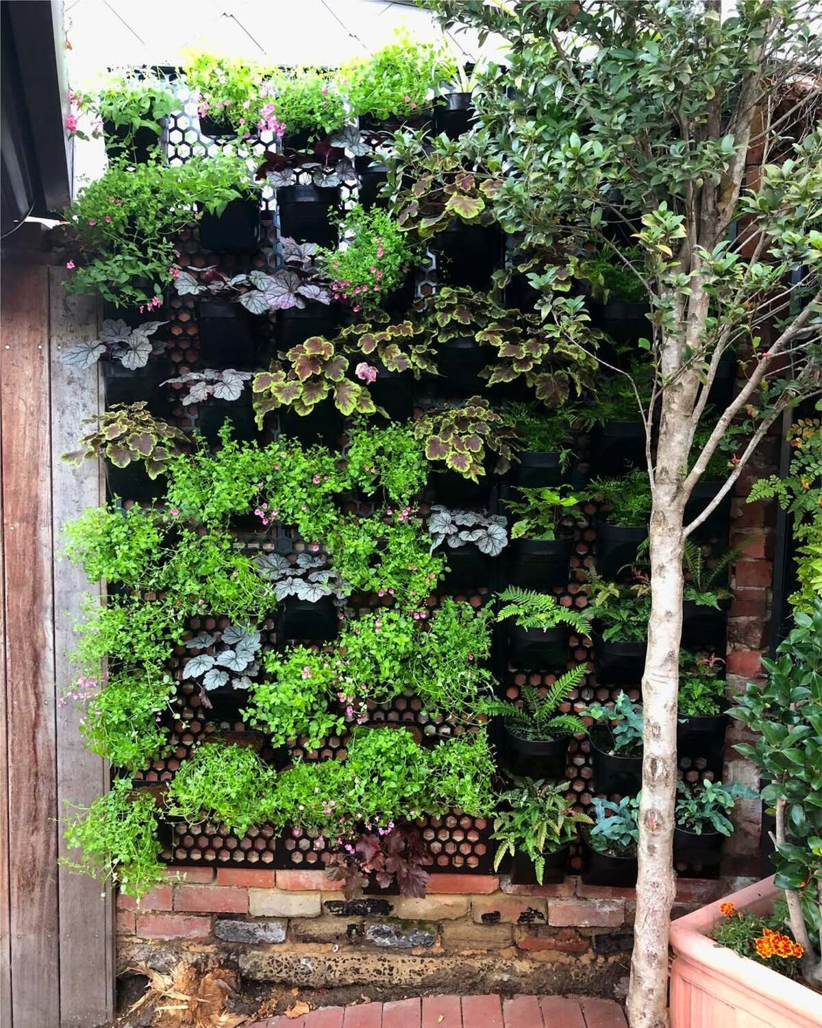 vertical urban flower gardens 2