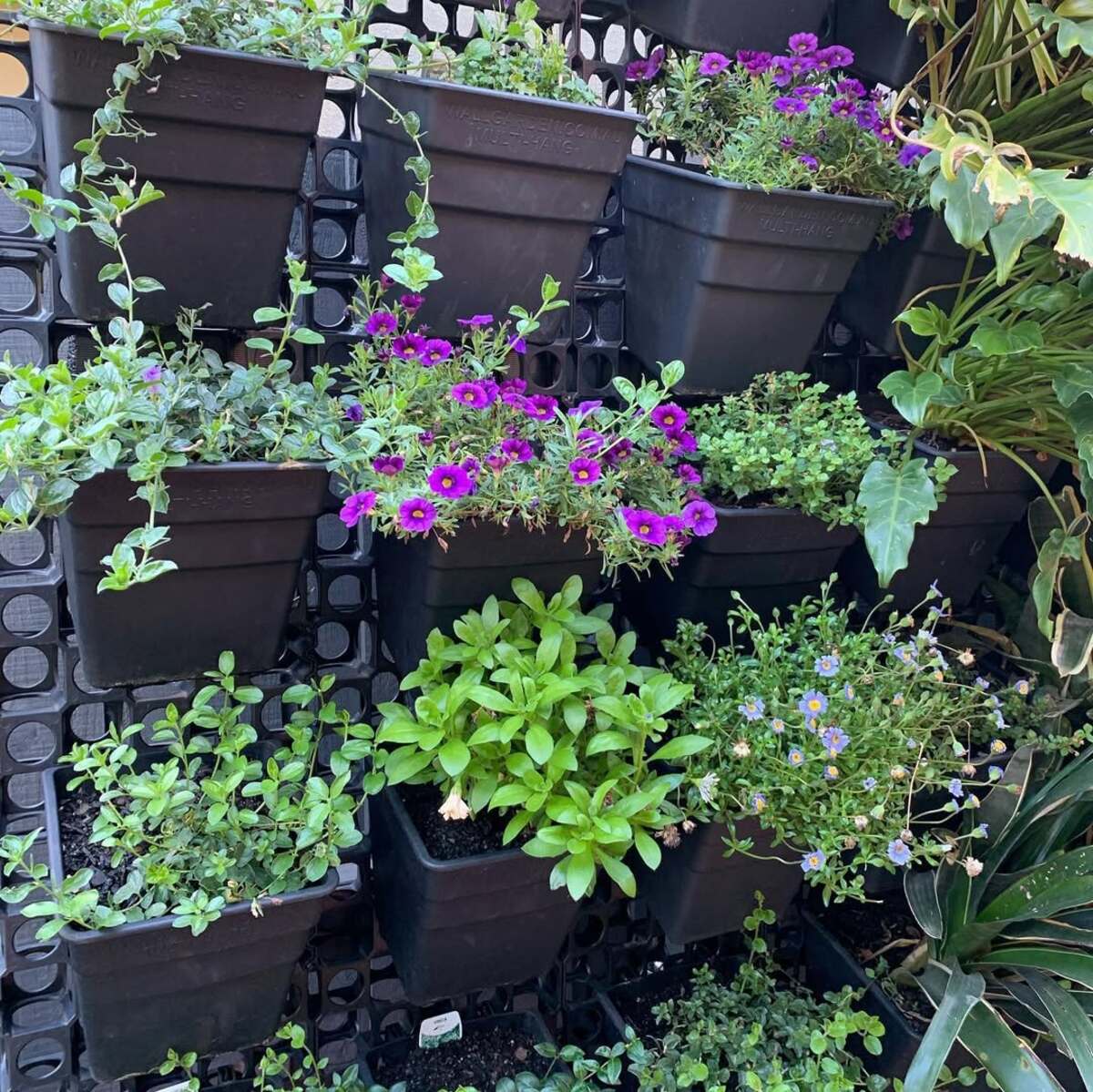 vertical urban flower gardens 3