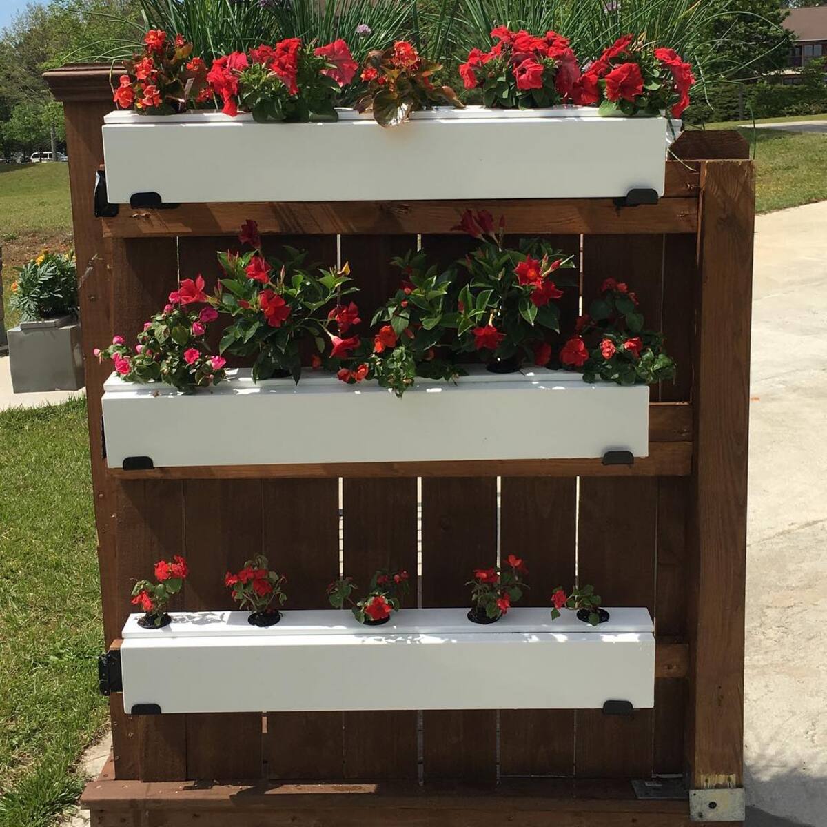 vertical urban flower gardens 6