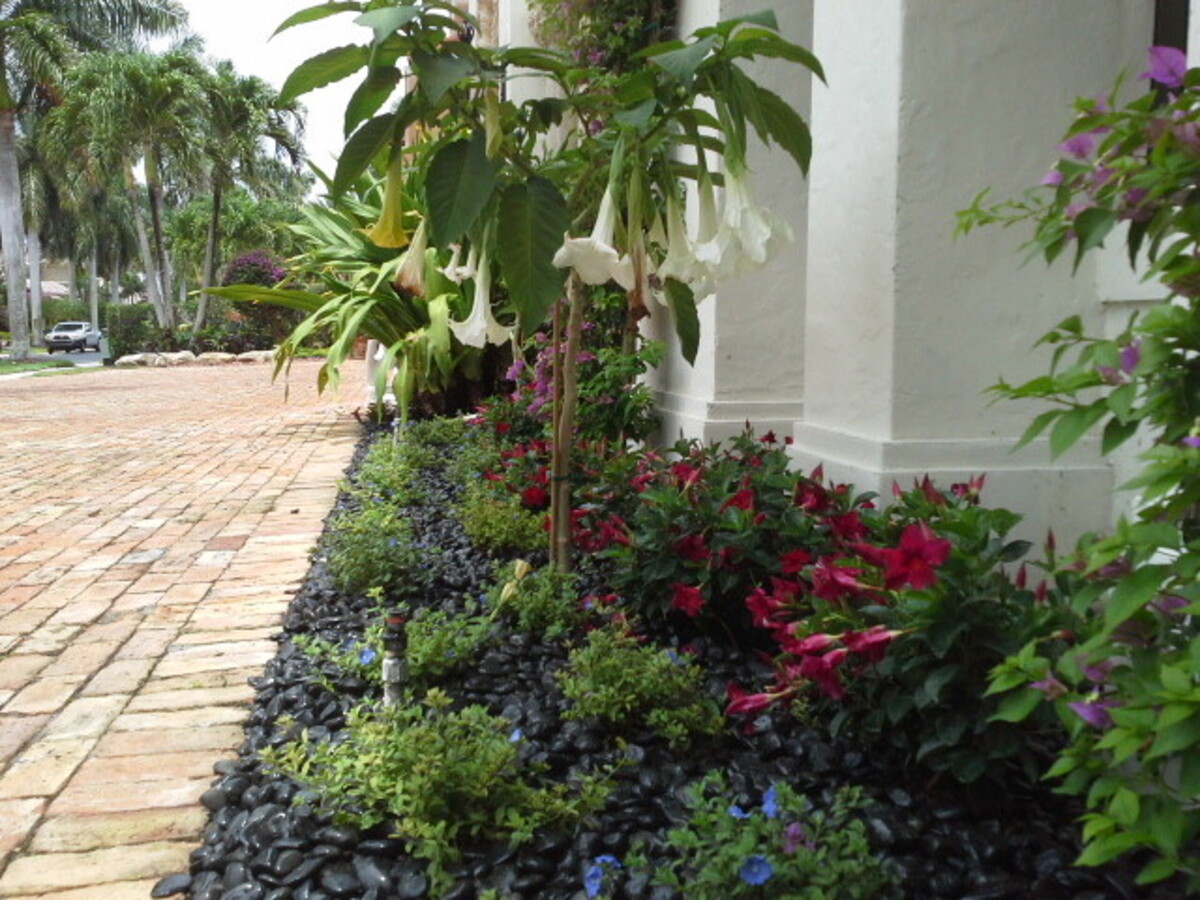 creative ways to use black rocks in landscaping 19