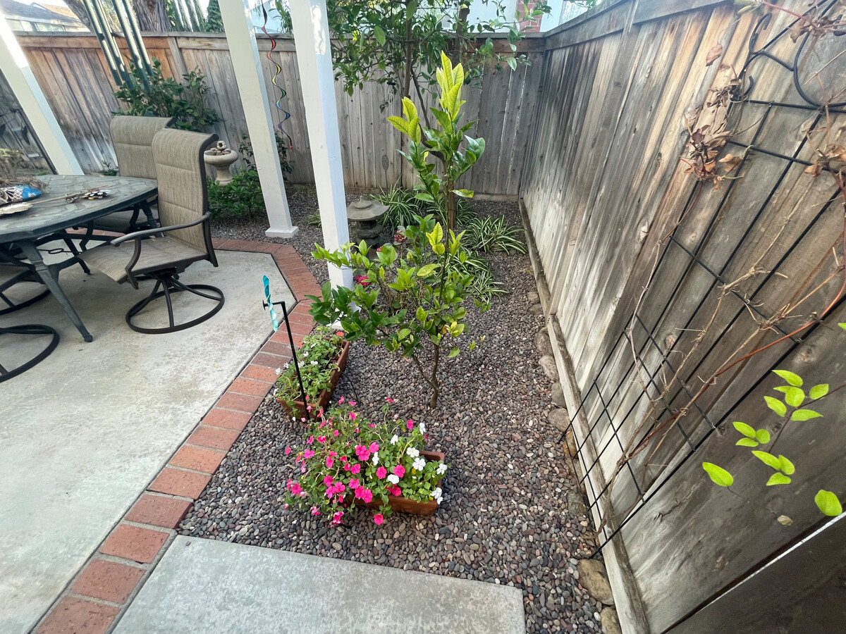 creative ways to use black rocks in landscaping 21