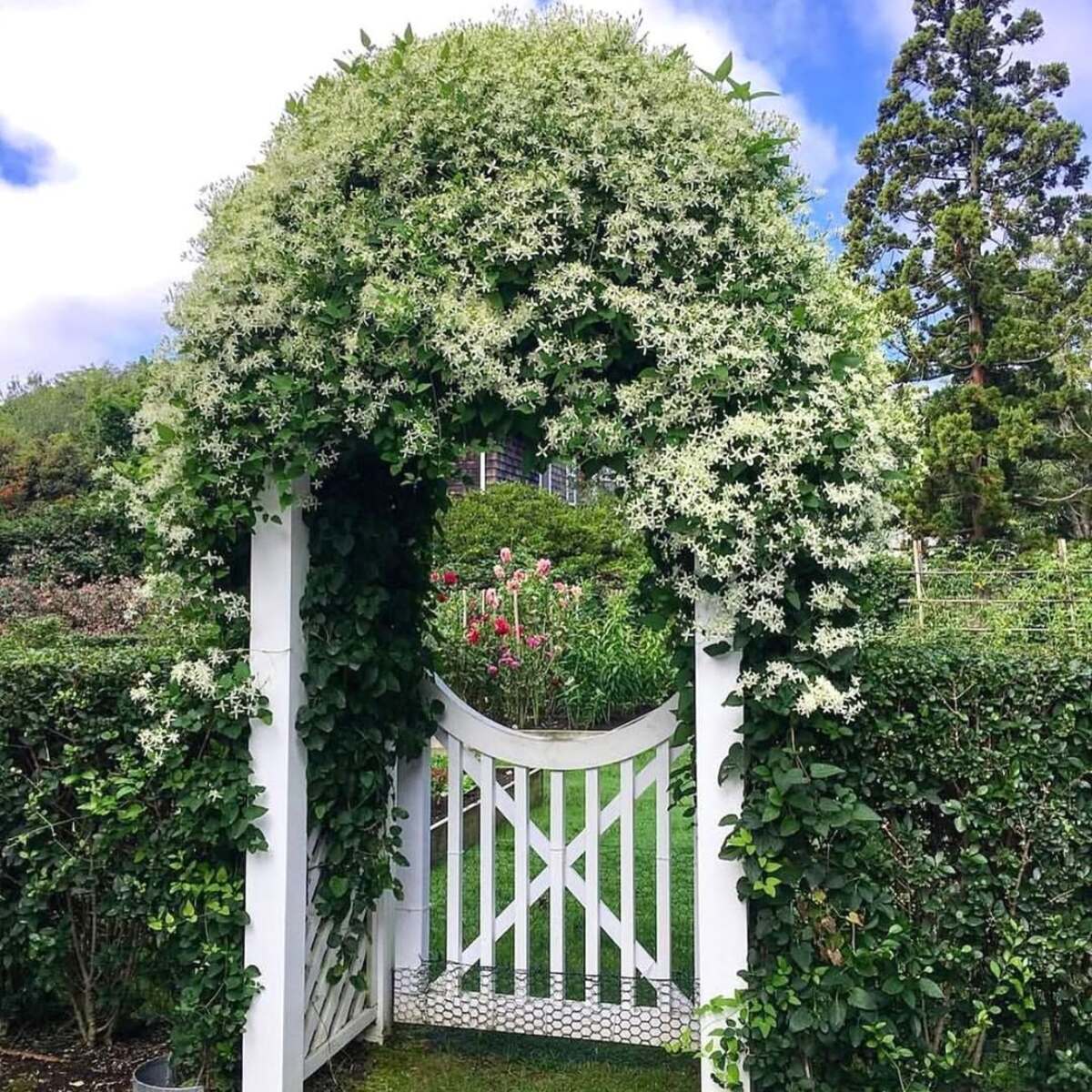 gorgeous garden entrance designs for outdoor space 2
