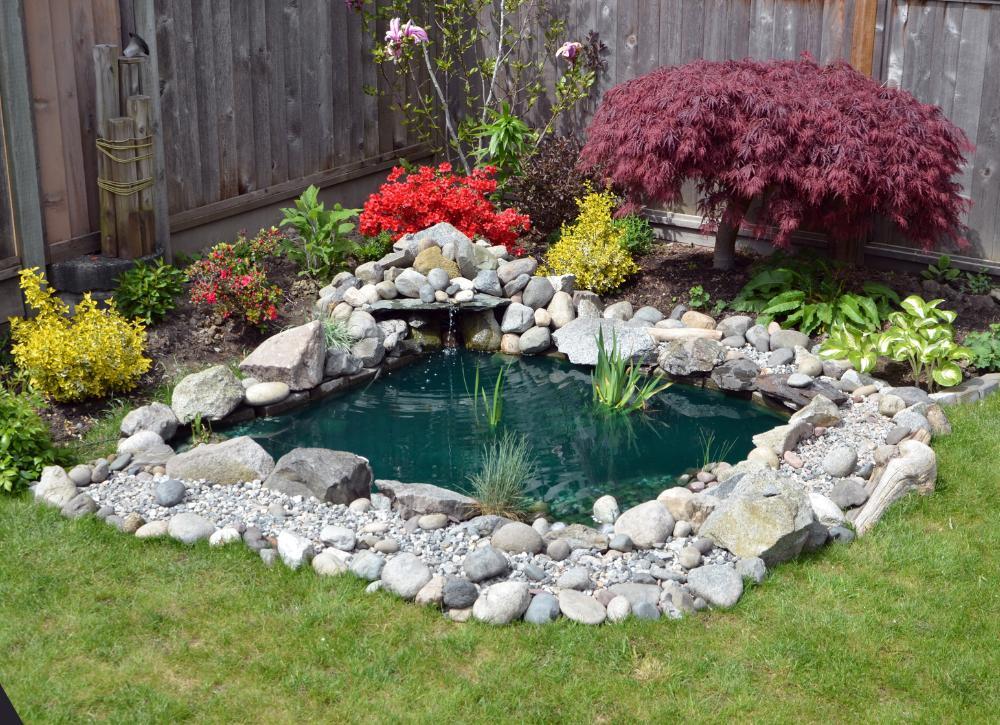 cheap landscaping ideas 02