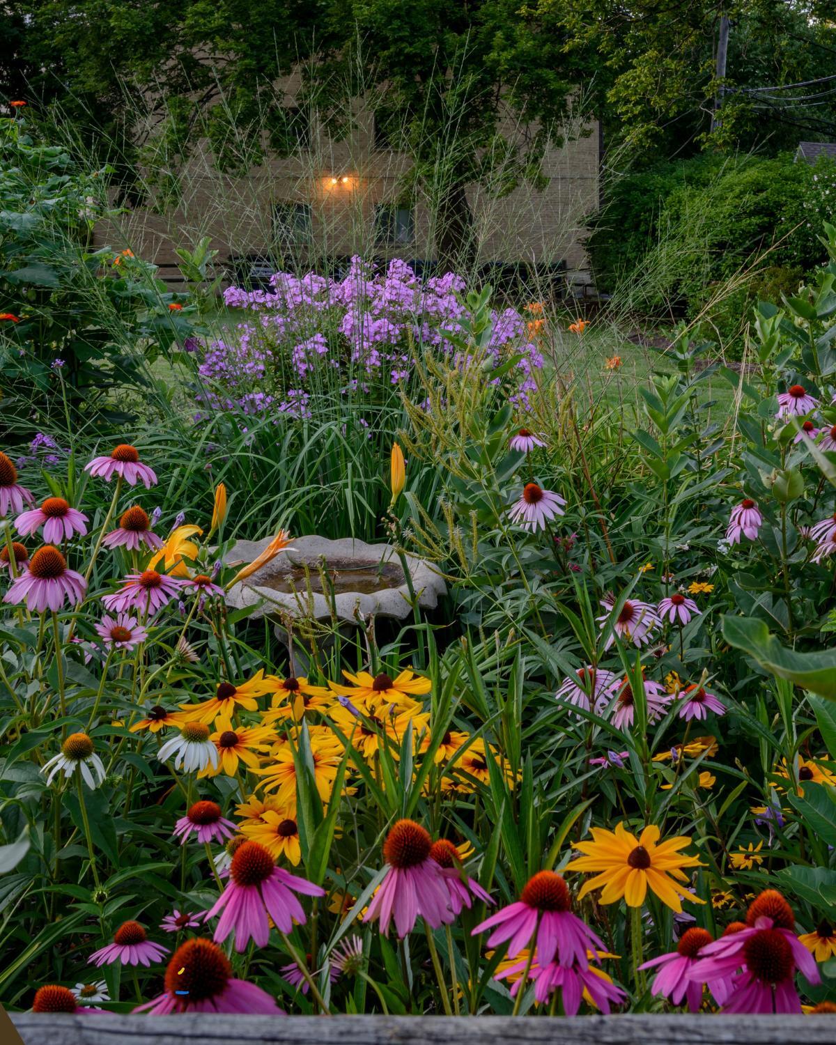 cheap landscaping ideas 04