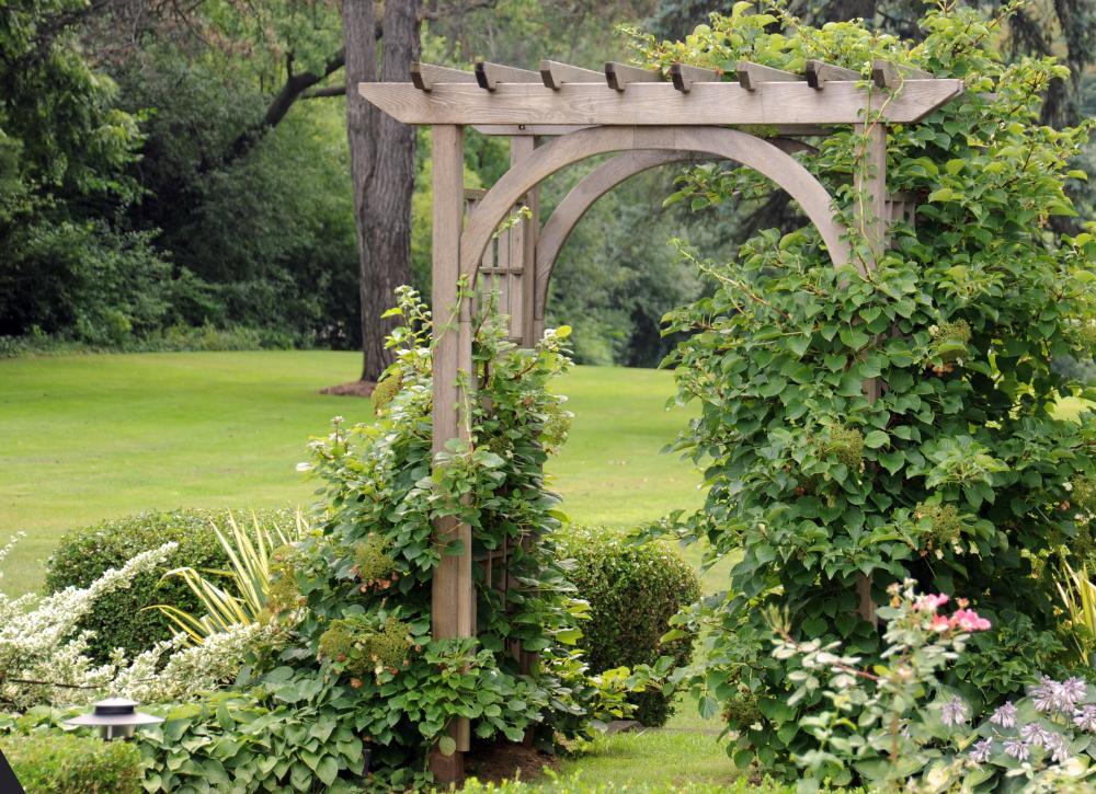 cheap landscaping ideas 06