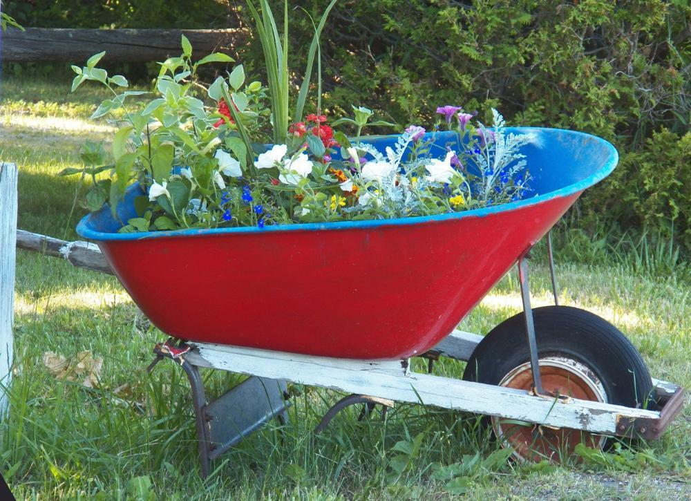 cheap landscaping ideas 09