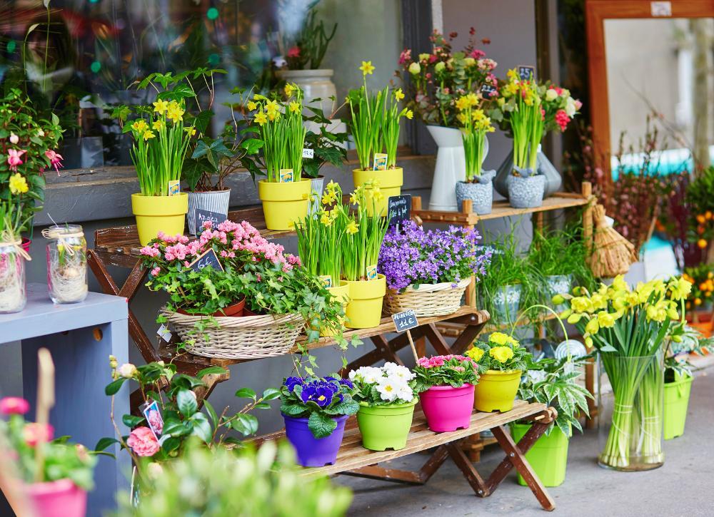 cheap landscaping ideas 11