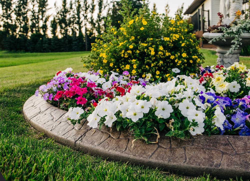 cheap landscaping ideas 13