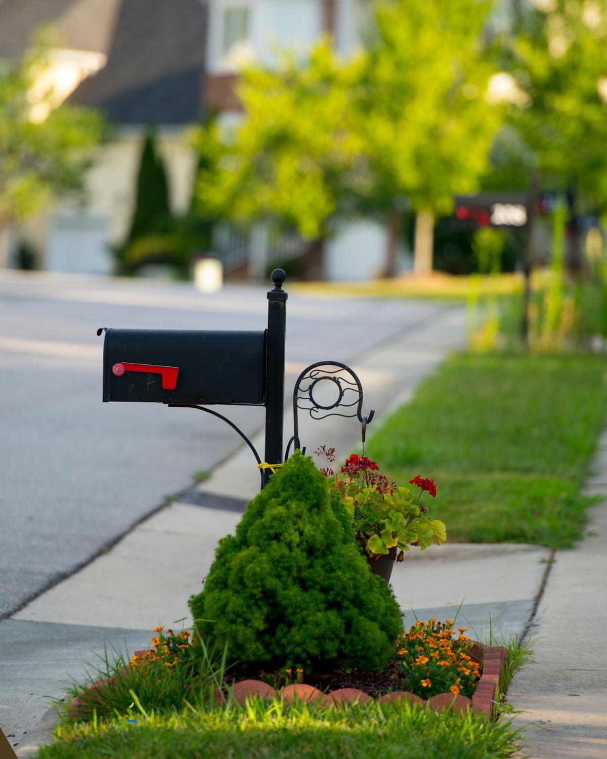 cheap landscaping ideas 15