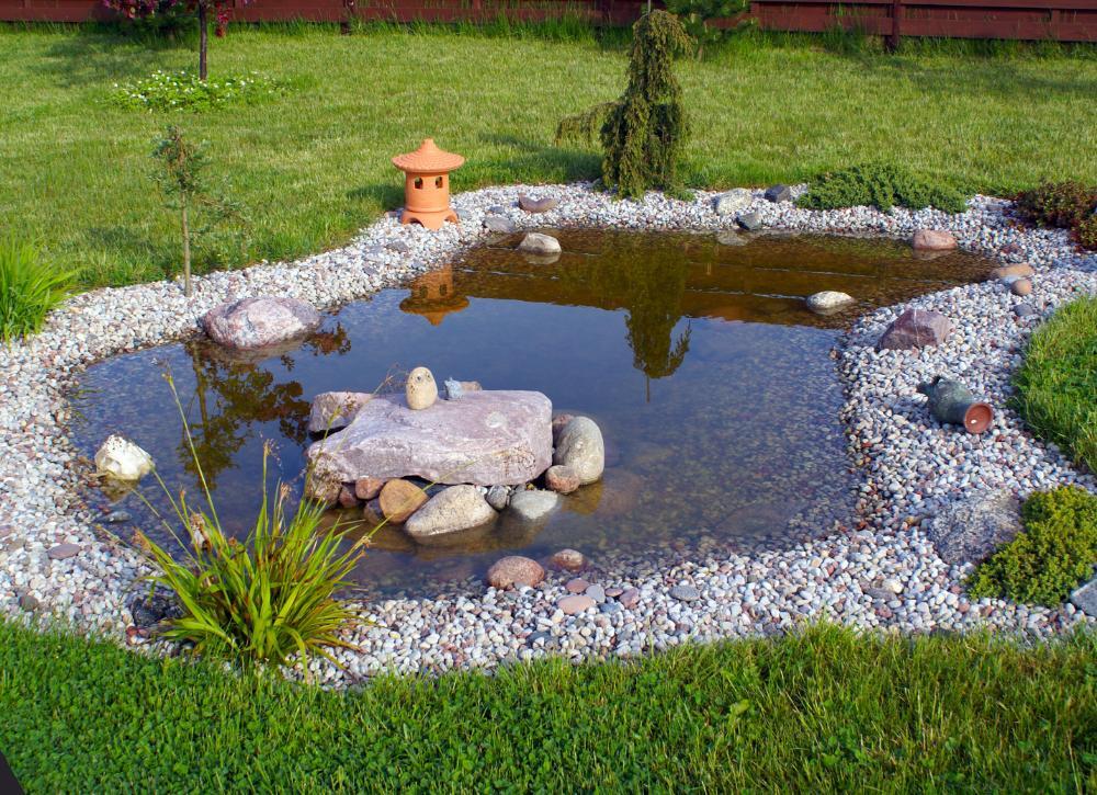 landscaping on a budget 05