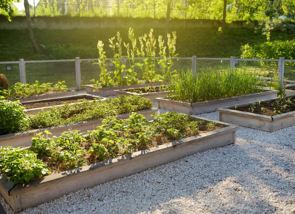 landscaping on a budget 07