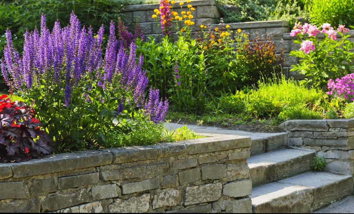 raised garden border