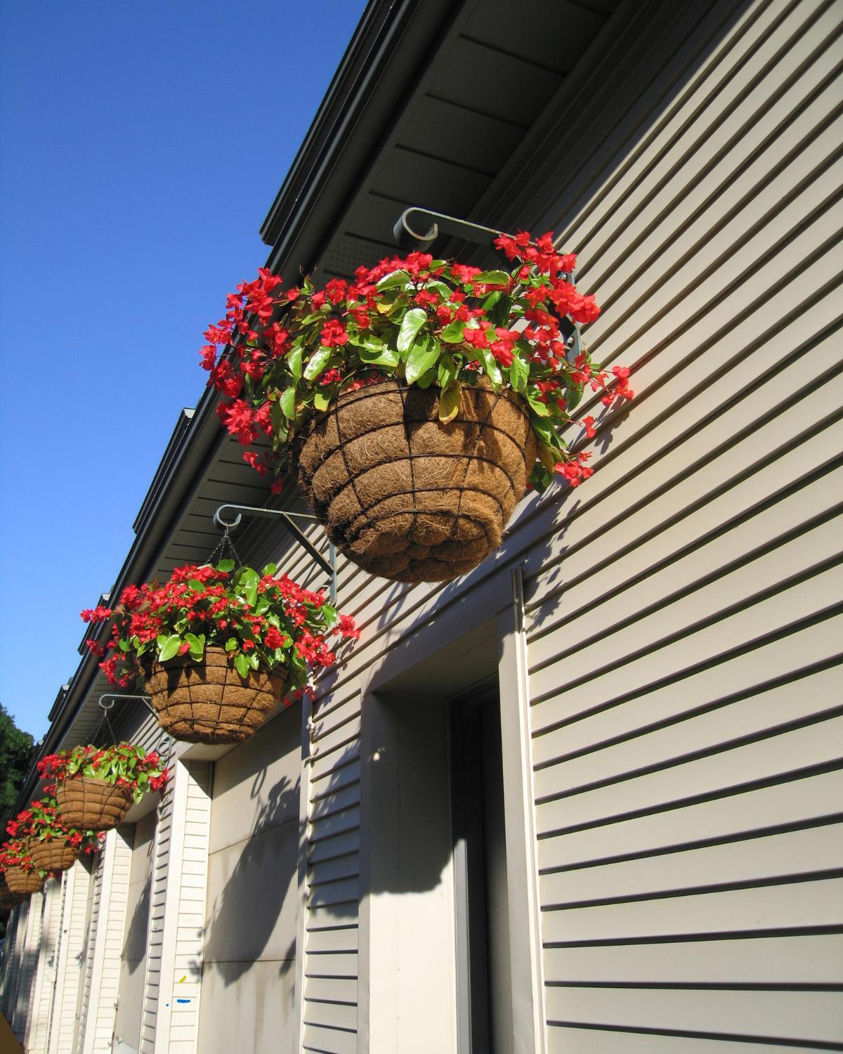 cheap backyard idea 01