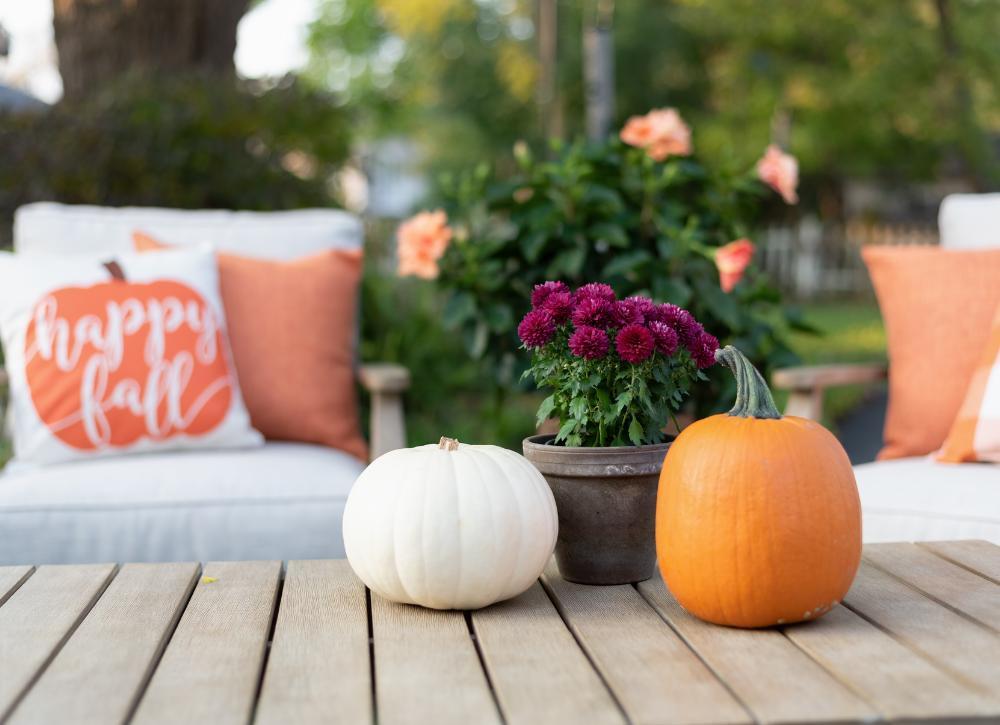 cheap backyard idea 07