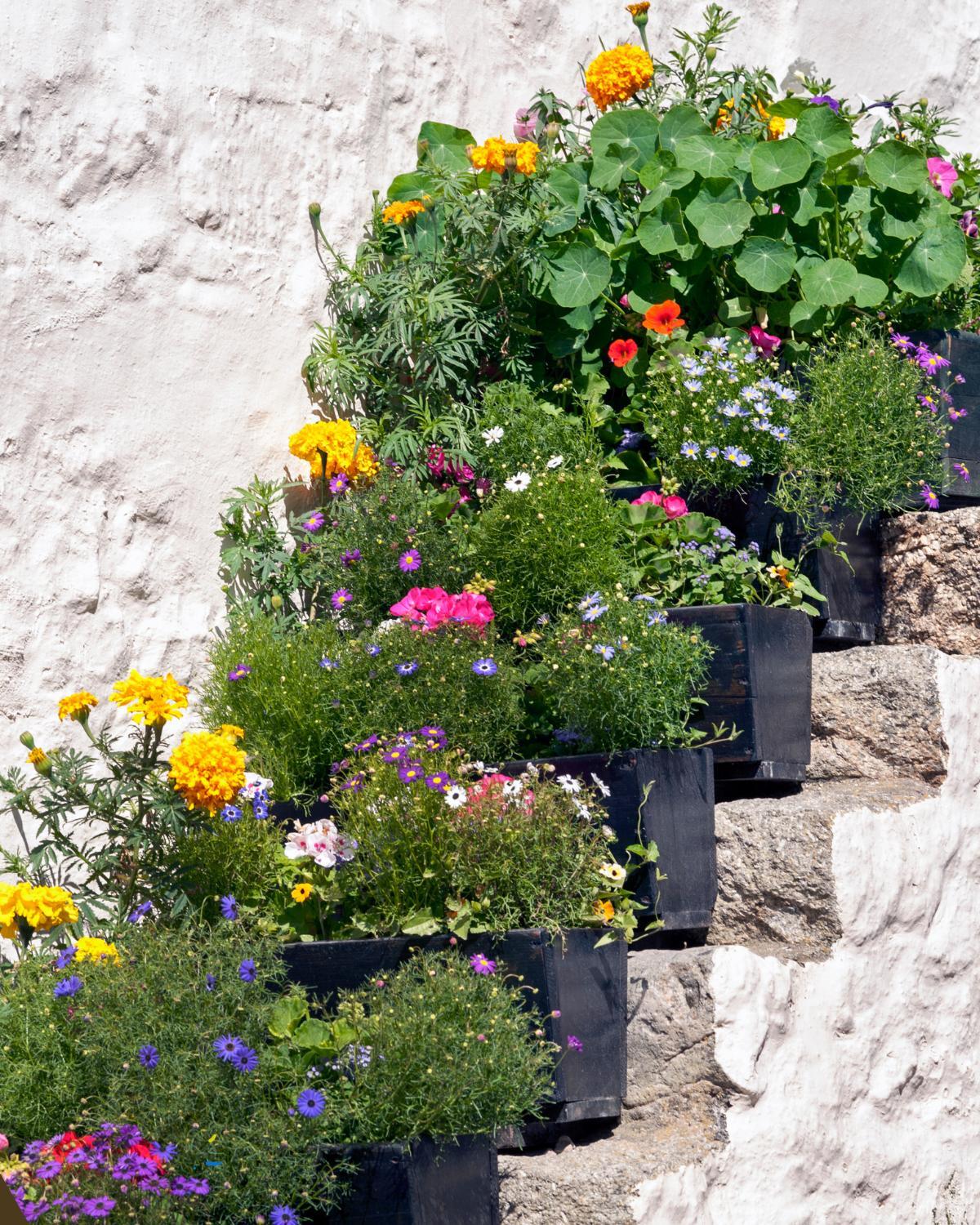 cheap backyard idea 09