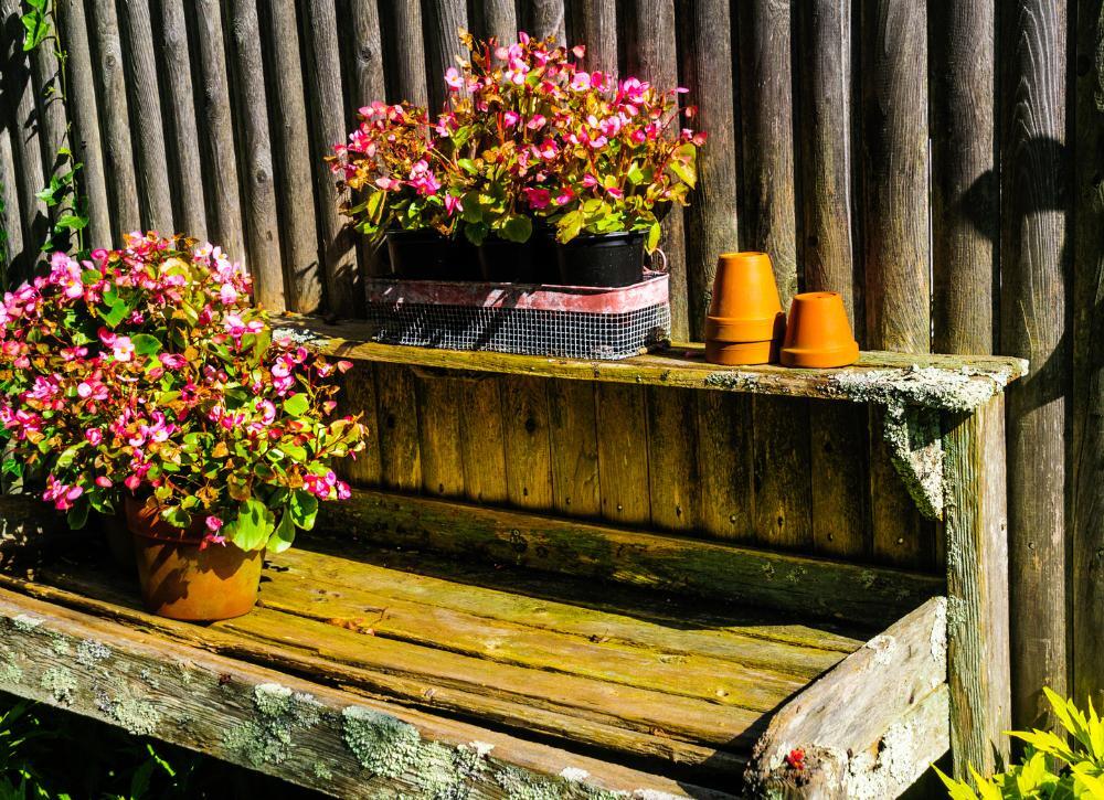 cheap backyard idea 37