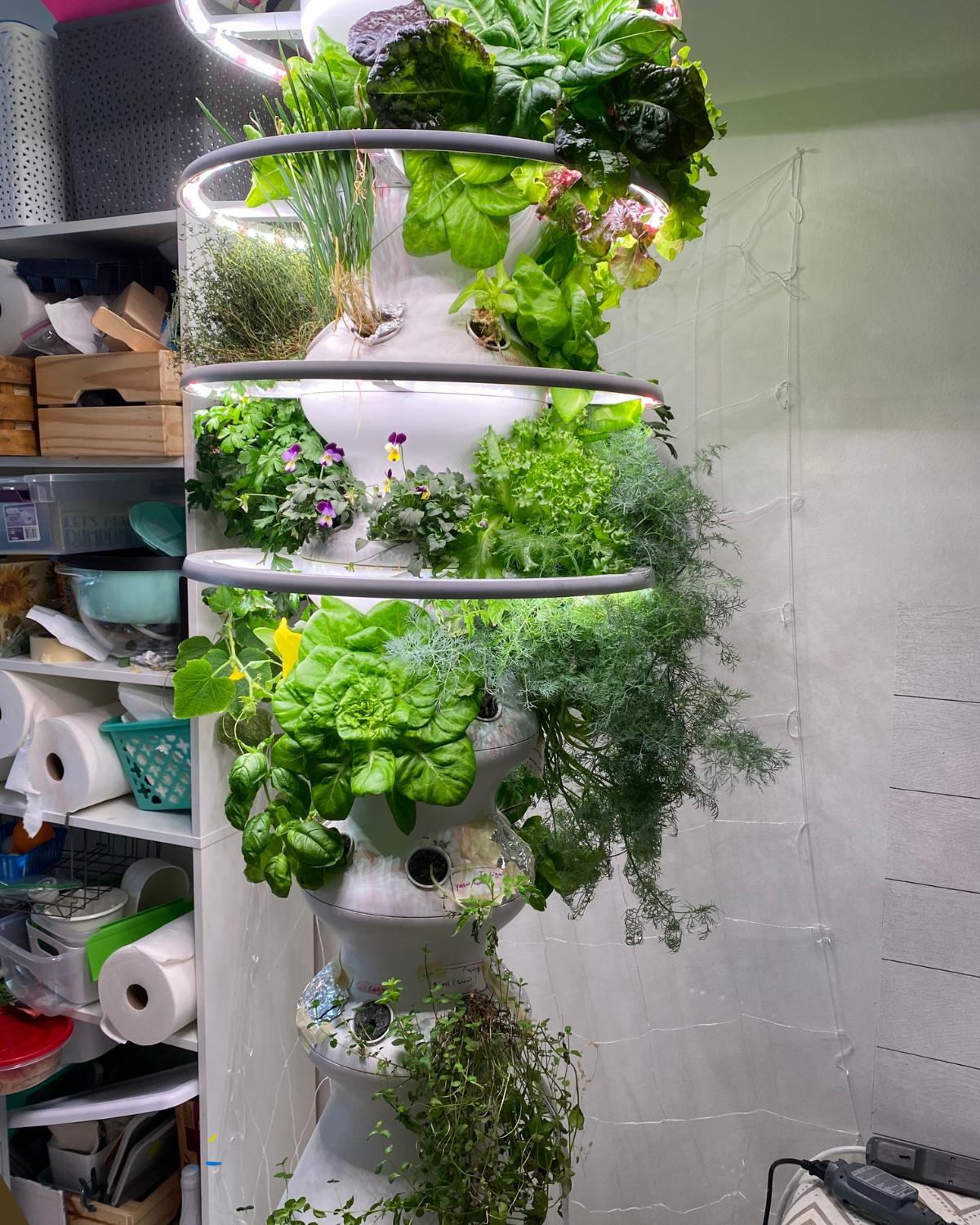 cheap home improvement idea 30