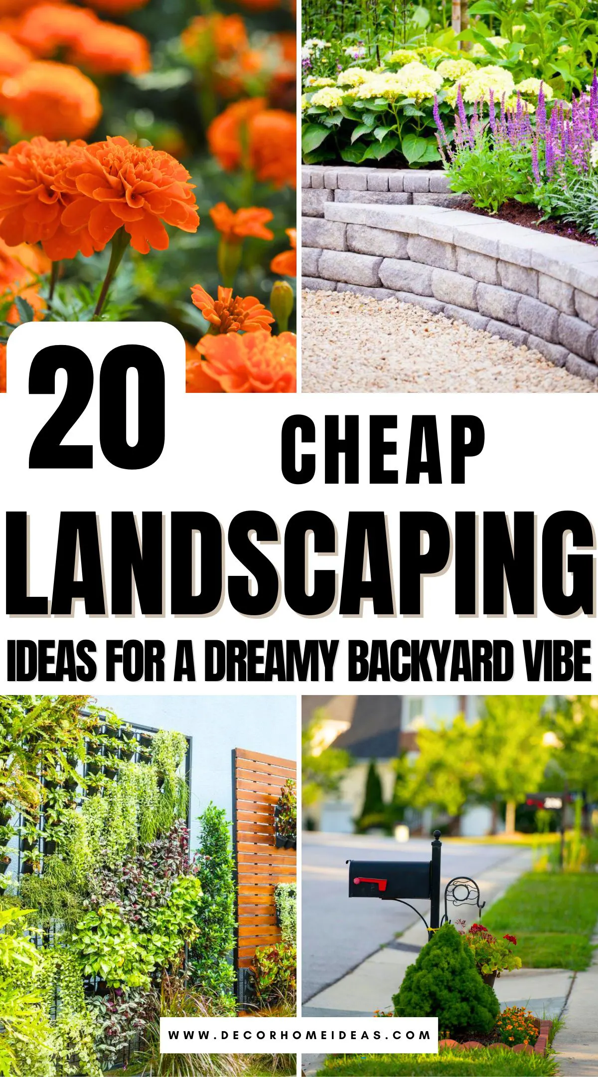 Looking to refresh your yard without spending a fortune? These 20 cheap landscaping ideas offer creative ways to add charm, texture, and beauty to any outdoor space. Find out how small changes can make a big difference in your yard's look and feel.