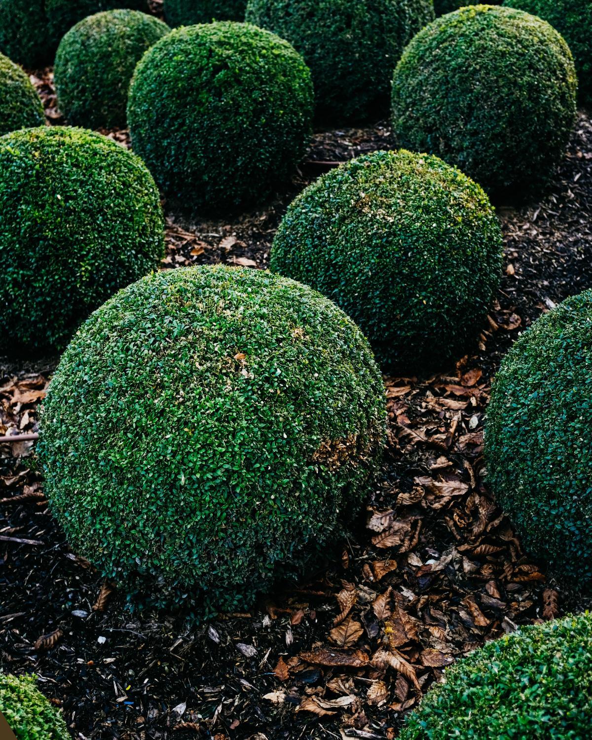 landscape ideas that look expensive 01