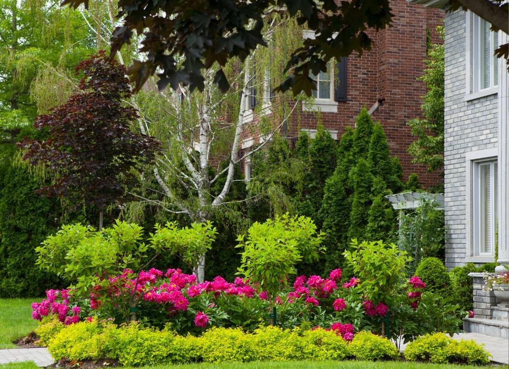 landscape ideas that look expensive 06