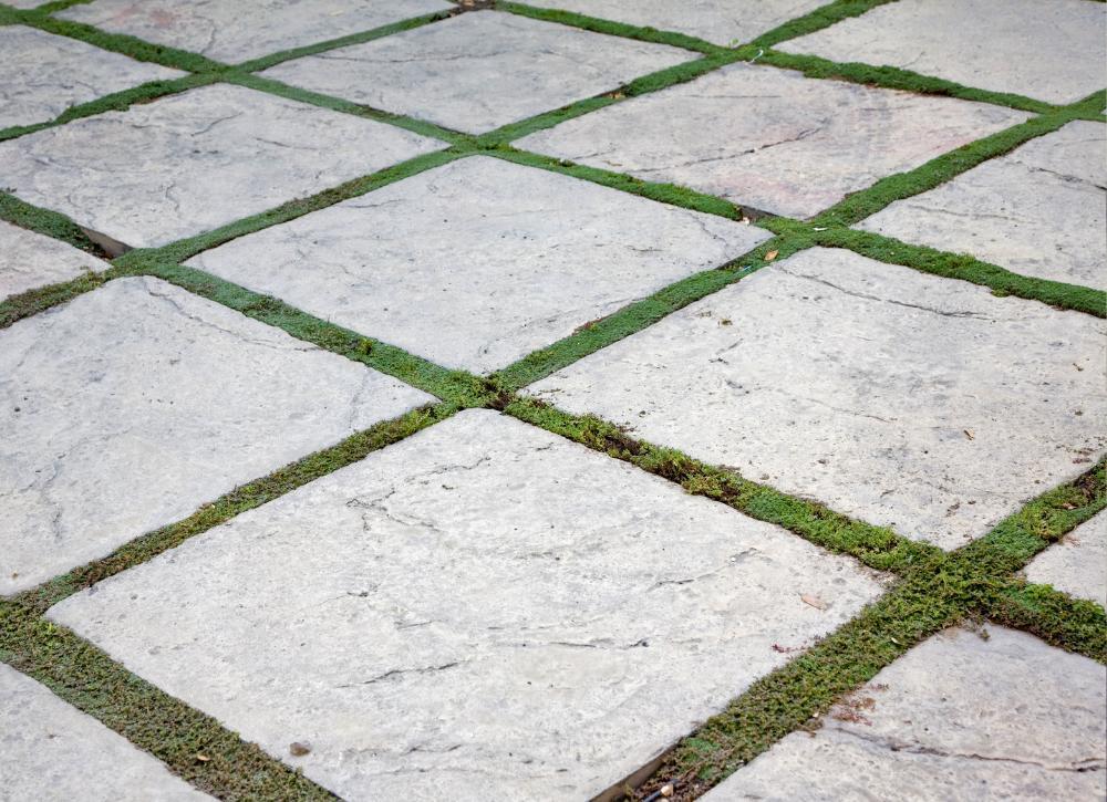 landscape ideas that look expensive 08