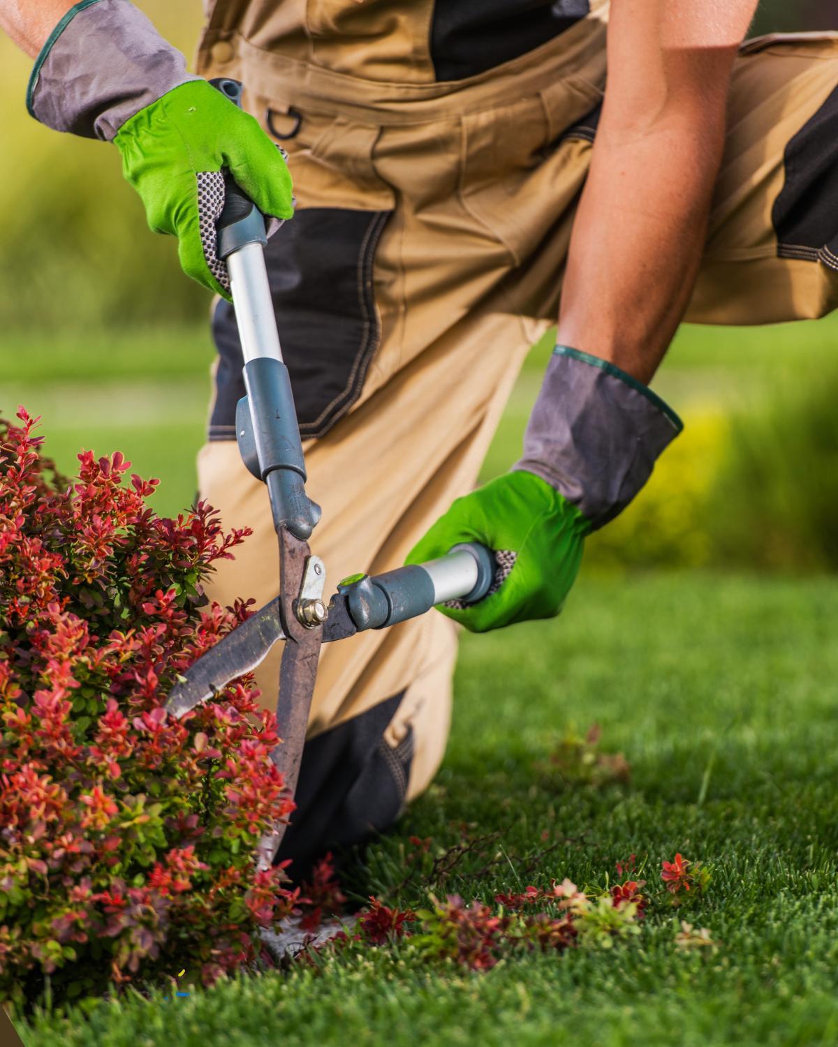 landscape projects that add value to home 02