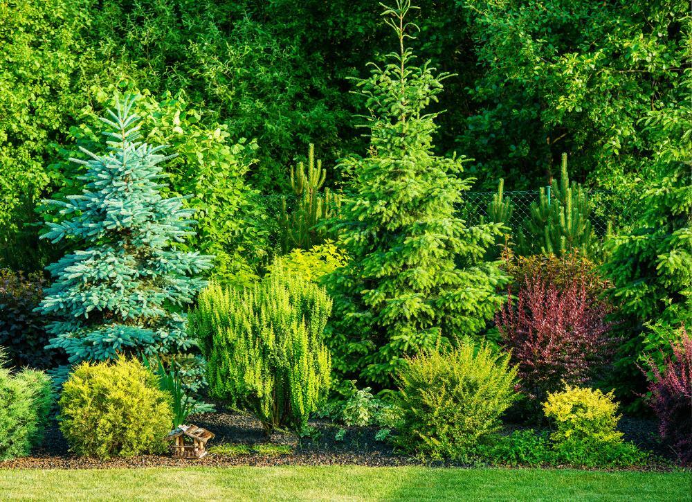 landscaping ideas worth the money 07