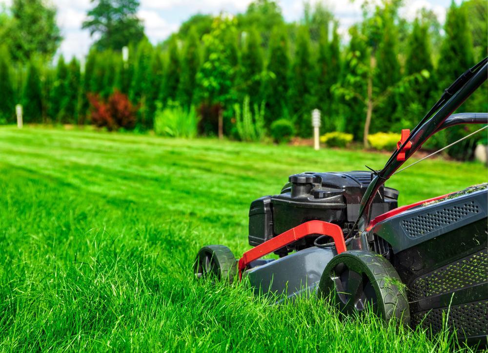 landscaping ideas worth the money 10