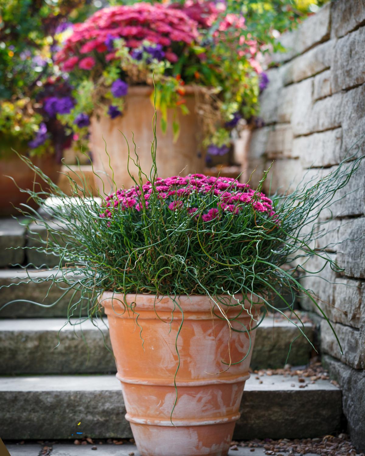ways to fake an outdoor reno 10